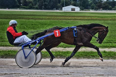 paralympiatravet odds|ATG and Swedish Horse Racing .